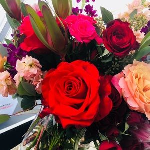 Meet your Posher, Ricki